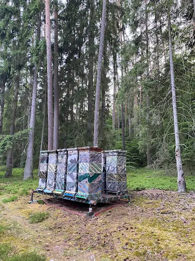 Ule ustawione w lesie, gotowe na pożytek leśny